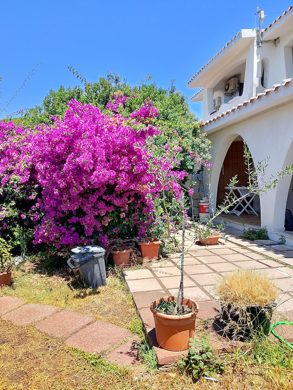 Terraza o patio