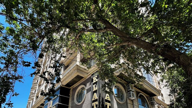 Un edificio con un gran árbol en su parte frontal, con un letrero que indica el nombre 'EL ALATUS'.