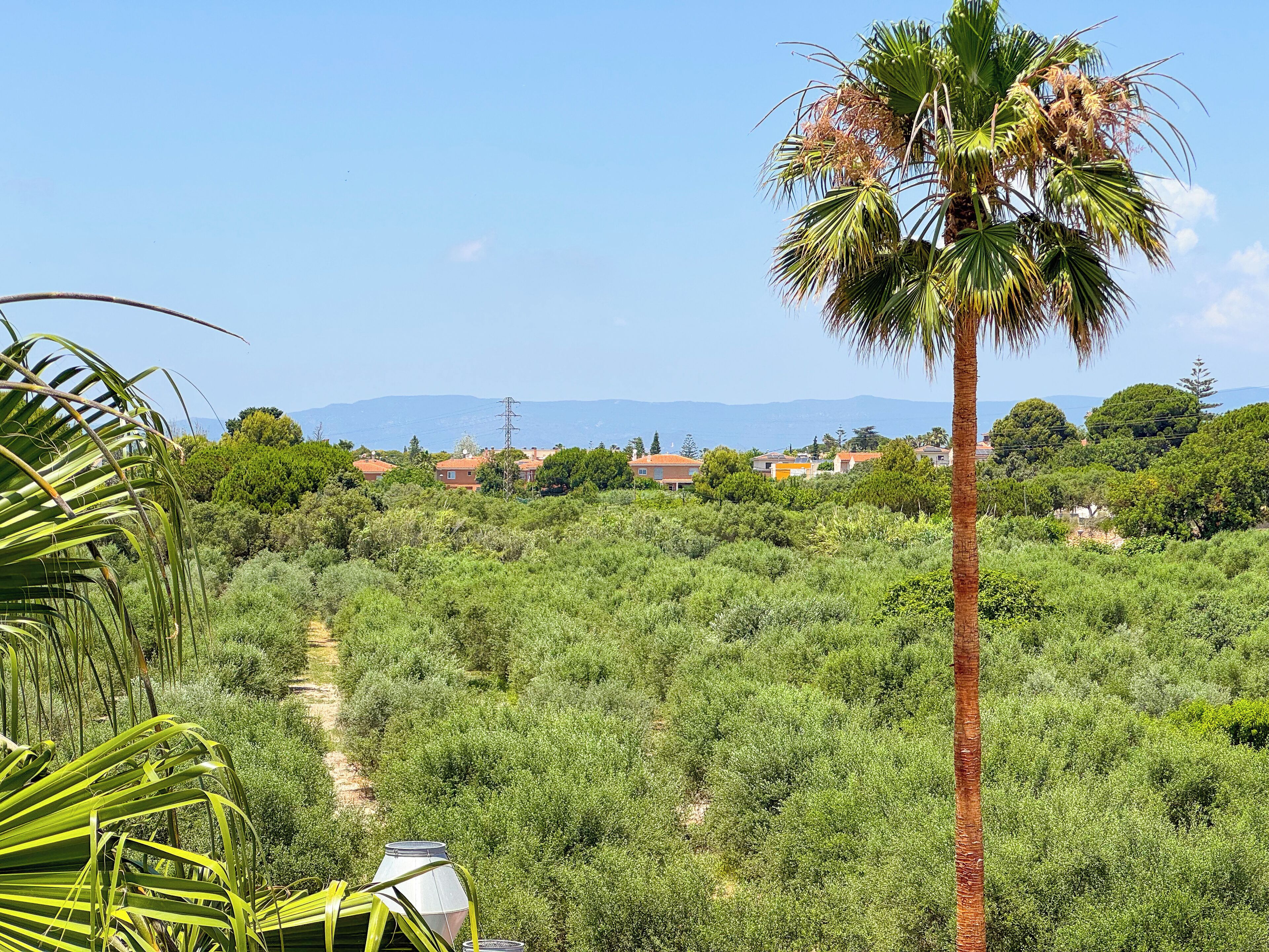 Photo - Emerald Sun Hotel