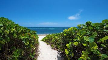 A beach path leading to the ocean, surrounded by lush greenery.