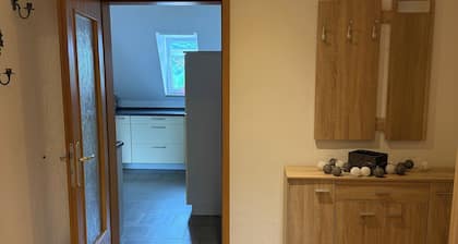 Guest apartment Schneeberg Erzgebirge central small&fine pets allowed