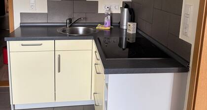 Vacation apartment Schneeberg Erzgebirge central small&fine pets allowed 