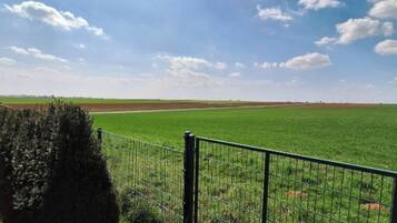 Área da propriedade