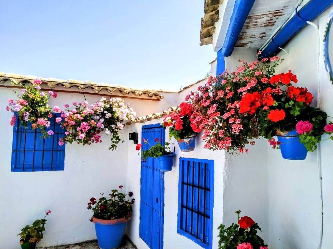 Detalle del exterior