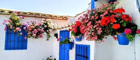 Detalle del exterior