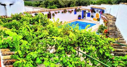El Patio Andaluz