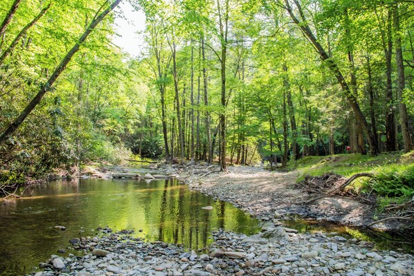 Botón de imagen sin clasificar, 1 de 45