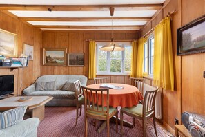 TV, fireplace, DVD player, ping pong