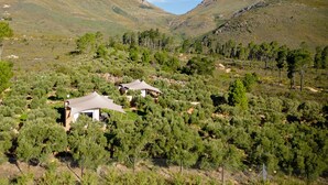Unclassified image, 3 of 10, button - Luxury Farm Stay Surrounded by Vineyards, Almonds, Wagyu Cattle & Mountain Views (Paarl)