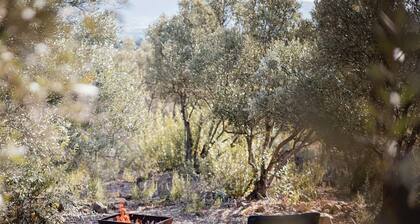 Luxury Farm Stay Surrounded by Vineyards, Almonds, Wagyu Cattle & Mountain Views
