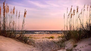 A beach path leading to the ocean with tall grasses on either side.