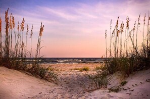 Ein Strandweg, der zum Meer führt, gesäumt von hohem Gras.