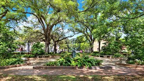 Property grounds - Darling Garden Apartment on Charlton (Savannah)