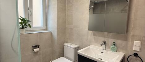 Shower, hair dryer, towels