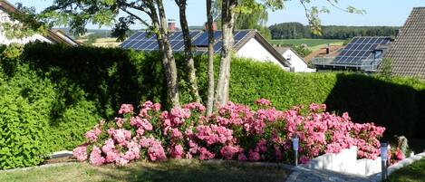 Terrain de lâhĂ©bergement