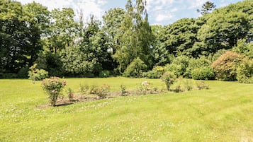 ุงูู
ูุทูุฉ ุงูู
ุญูุทุฉ ุจุงูู
ูุดุฃุฉ