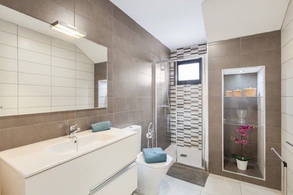 Shower, hair dryer, towels
