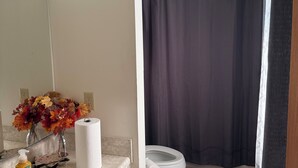 Ein Badezimmer mit einem weißen Waschbecken, einer Toilette, einer Duschvorhang und einem kleinen Teppich.