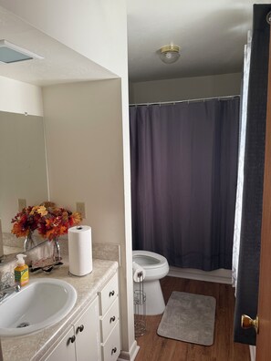 Hair dryer, towels, soap, toilet paper