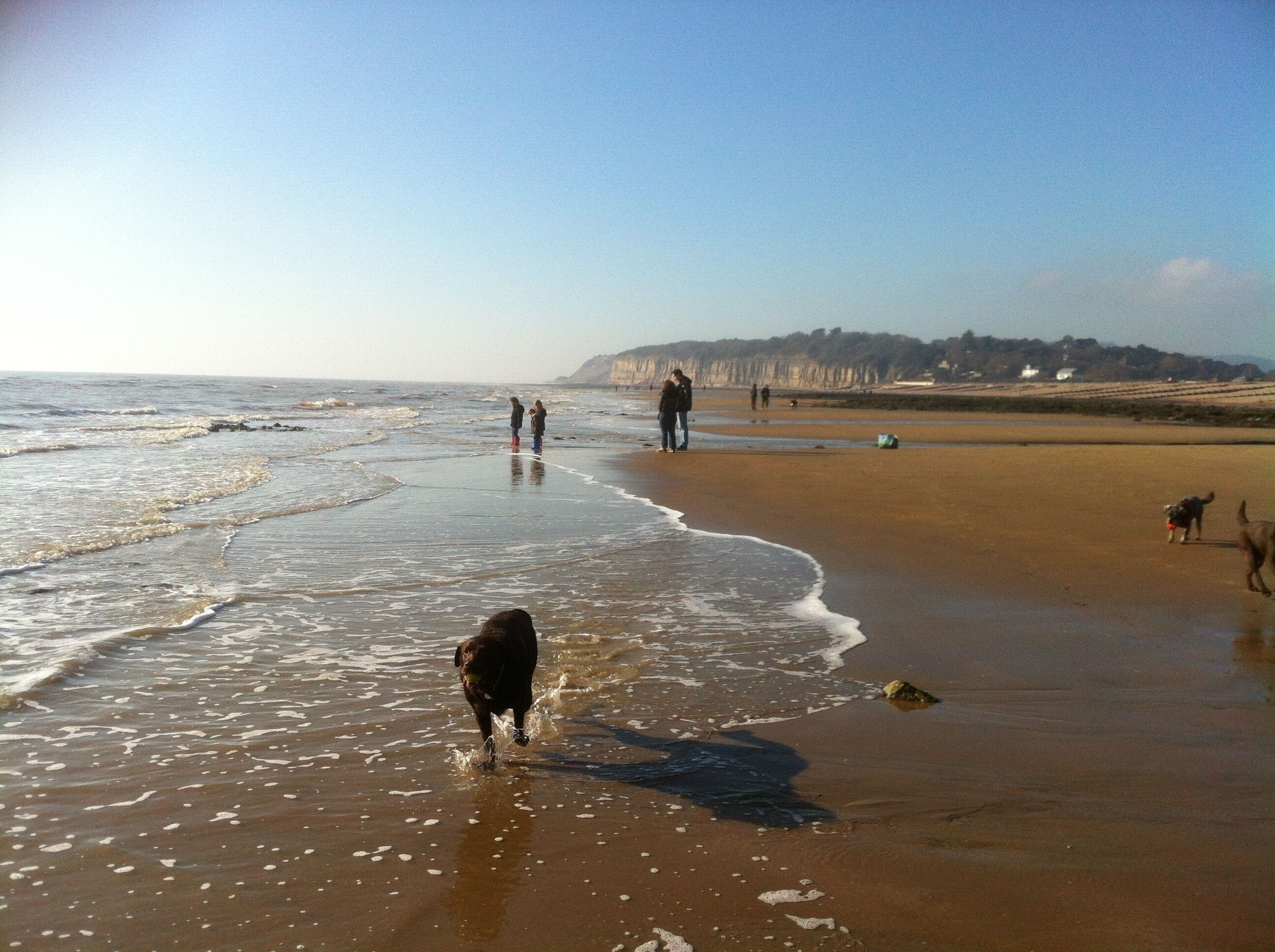 Playa en los alrededores 