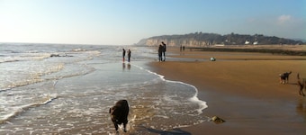 Spacious 4 bed family beach house in sought after Pett Level Beach, Dogs welcome