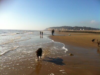 Spacious 4 bed family beach house in sought after Pett Level Beach, Dogs welcome