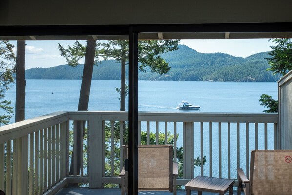 Property grounds - Cozy Harborside Stay | Secluded Orcas Island Getaway- Harborside 2443 (Eastsound)