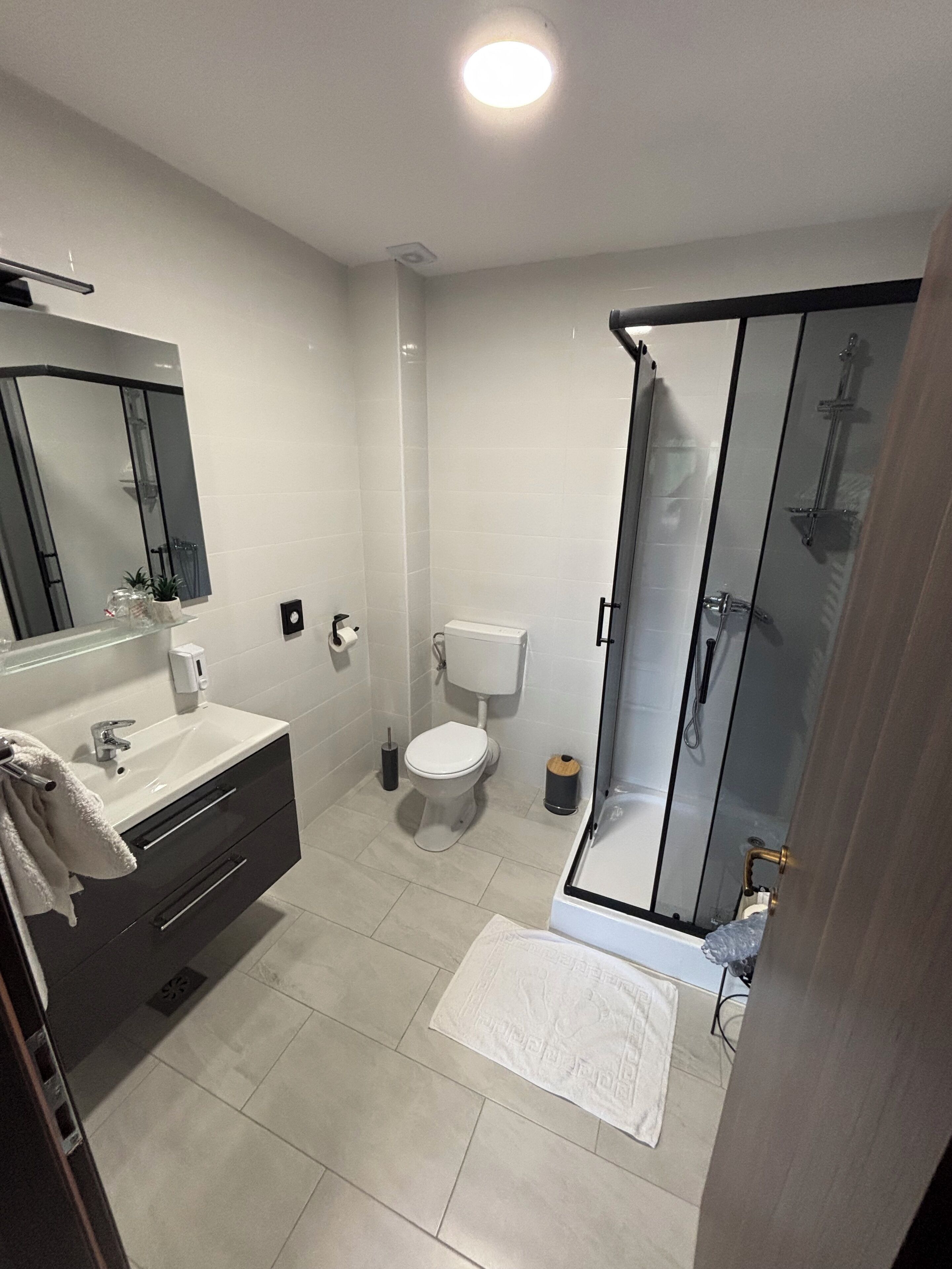 A modern bathroom with a glass shower enclosure, a white sink, and a toilet.