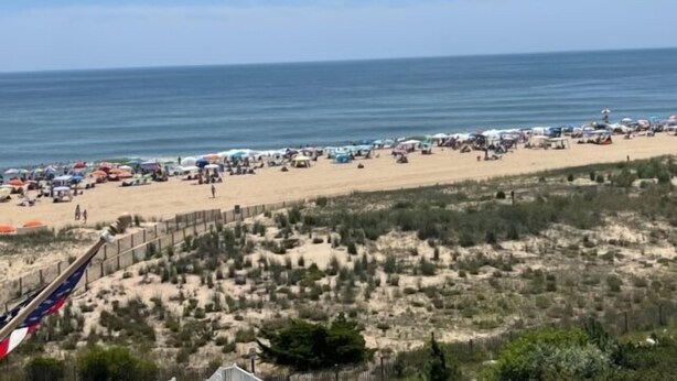 A beach with a sandy shore, a fence, and sparse vegetation.