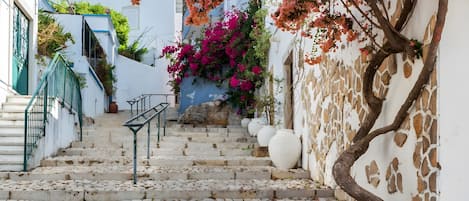 Jardines del alojamiento