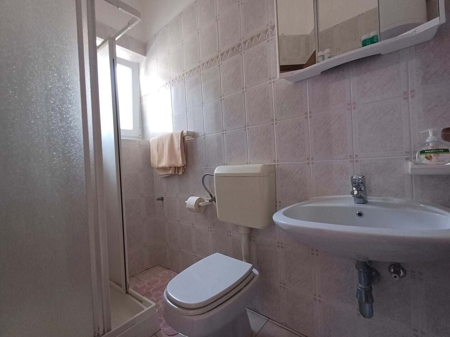 Une salle de bain avec des toilettes, un lavabo et une douche.