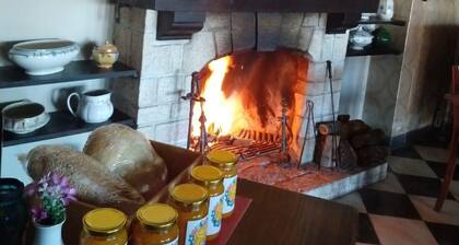 Posada la Villa