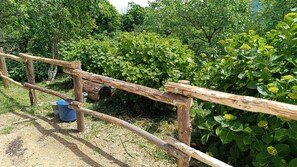 Terrain de l’hébergement 