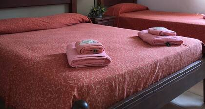 Hotel Minerva