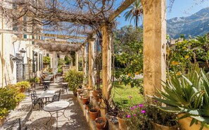 Terras