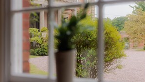 Una ventana con vistas al exterior de un edificio, que incluye un muro de ladrillo y vegetación.