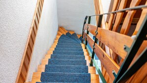 A wooden staircase with blue carpeted steps and a metal handrail.