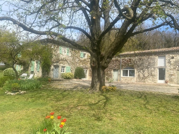 Un edificio de piedra con un gran árbol en primer plano, un césped y un parterre con tulipanes.