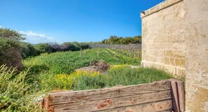 Property grounds - The Delimara Lighthouse - A Unique, cultural stay (Marsaxlokk)