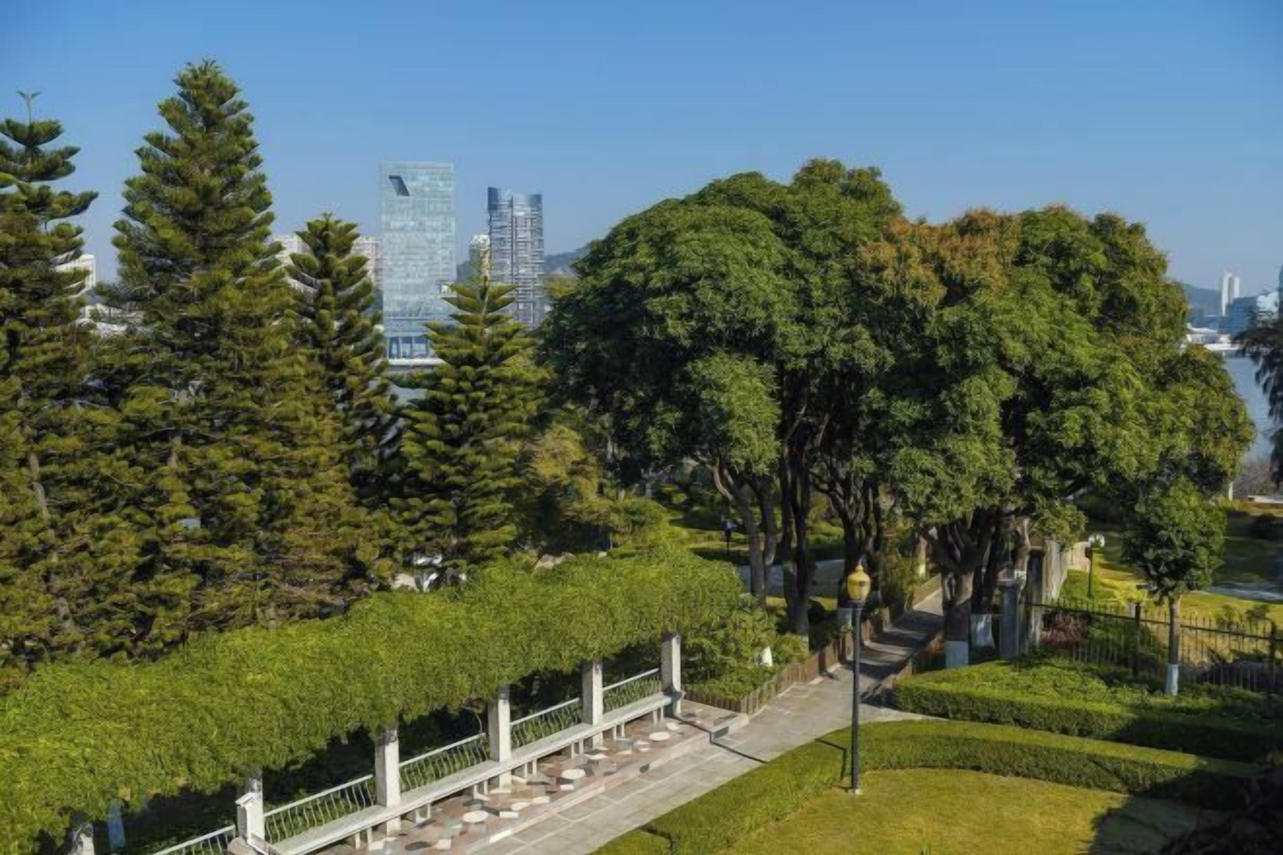 Área da propriedade