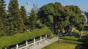 Un área ajardinada con un sendero, árboles y una vista de edificios modernos al fondo.