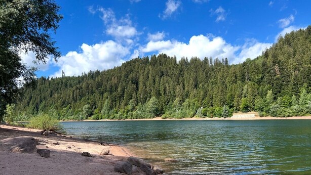 A natural landscape with a river, sandy beach, and dense forest.