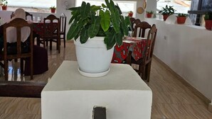A restaurant interior with a white table in the foreground, potted plants on the windowsill, and wooden chairs around the tables.