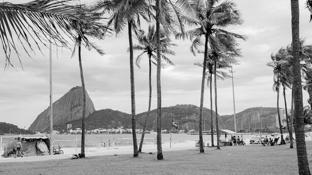 A beach scene with palm trees, a mountain in the background, and a few people and bicycles. - SUH Flamengo 08 Live in Aterro (Rio de Janeiro)