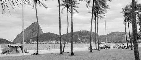 Apartamento | Wi-Fi de cortesia