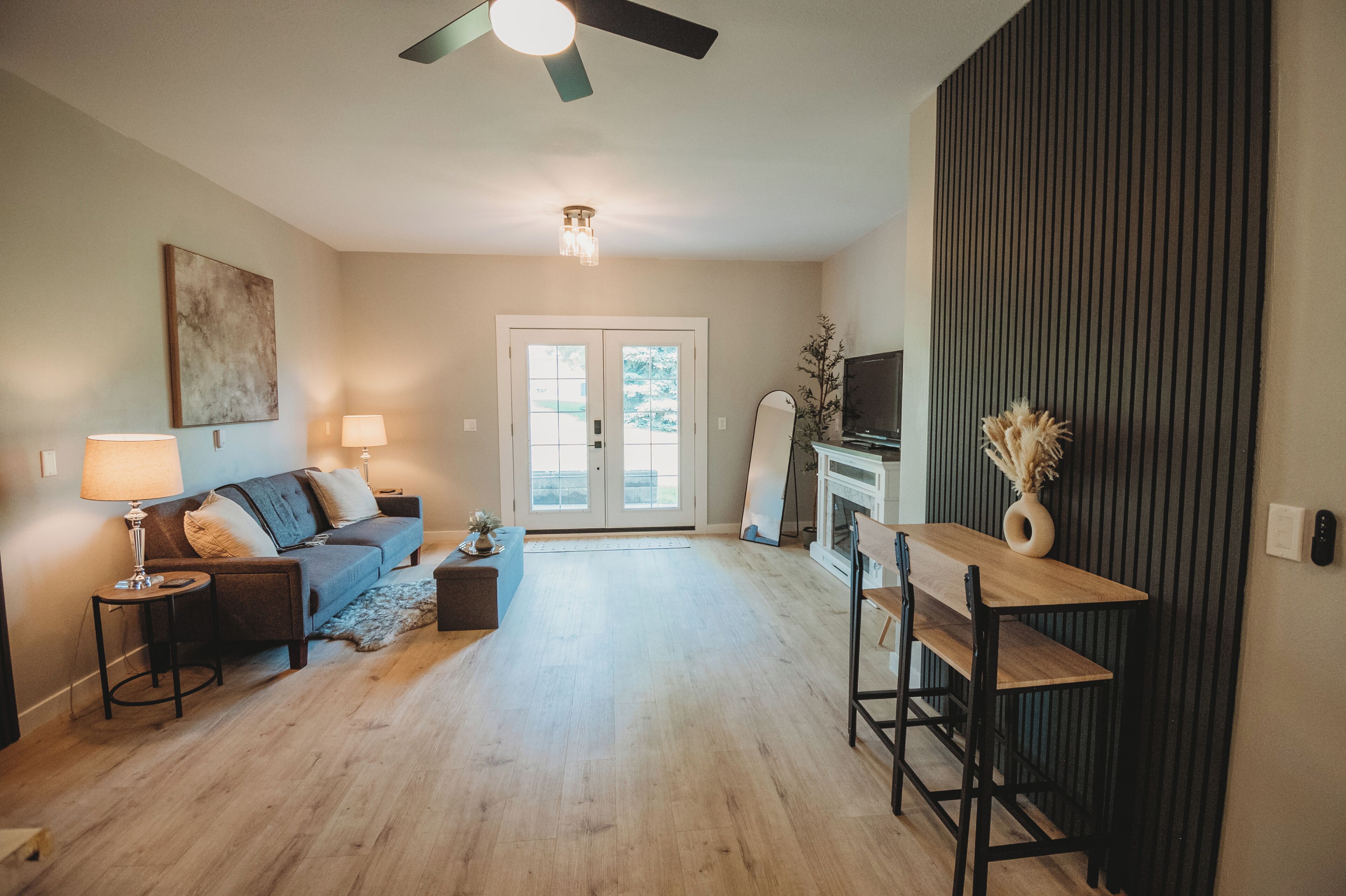 Smart TV, fireplace, books