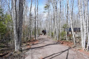 Property grounds - The Flora Cozy Cabin (Albany)