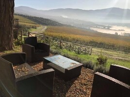Uma área externa com mobiliário de vime e vista para um vinhedo e montanhas ao longe.