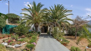 A pathway leading to a building surrounded by potted plants and palm trees.