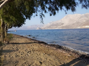 بالقرب من الشاطئ